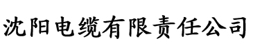 国精品在亚洲电缆厂logo